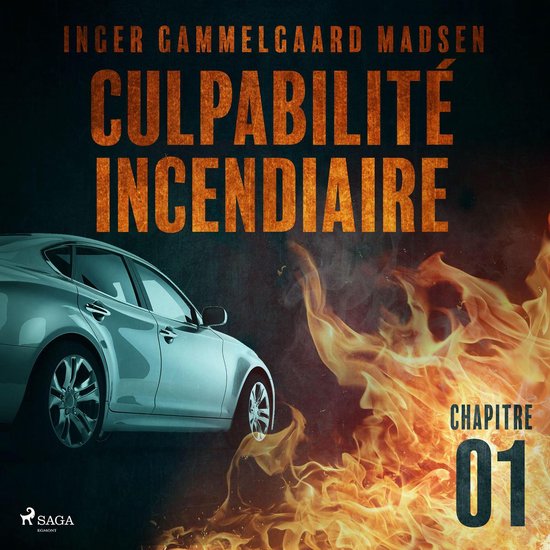 Culpabilité incendiaire - Chapitre 1 - cover