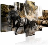 Schilderij - Zwart Paard voor Waterval III, zwart/geel,Wanddecoratie , premium print , 5luik