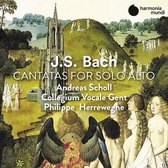 Andreas Scholl Collegium Vocale Phi - J.S. Bach Cantatas For Alto Solo (CD)