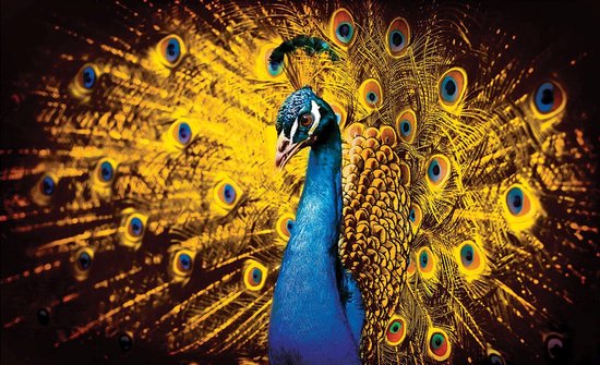 Photomural jaune, revêtement mural