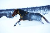 Horseware Rambo Supreme Turnout Heavy 420G 150/206 cm Zwart-Goud