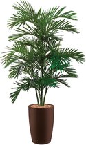 HTT - Kunstplant Areca palm in Genesis rond bruin H170 cm