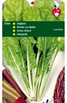 2 stuks Hortitops Snijbiet Lucullus 20 gram