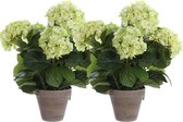 2x Lichtgroene Hydrangea/hortensia kunstplant 45 cm in grijze pot - Kunstplanten/nepplanten