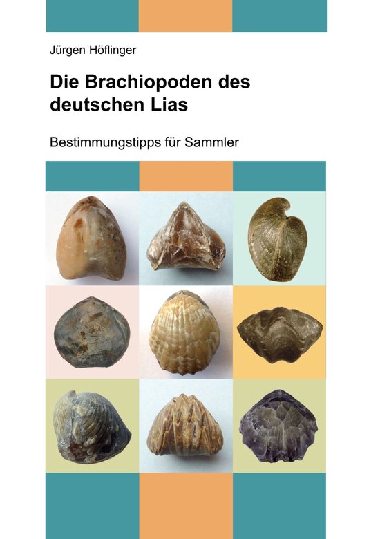 Deutsche Jura-Brachiopoden 1 - Die Brachiopoden des deutsche ... - cover