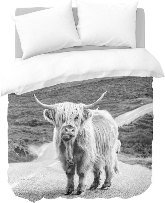 Beddengoedset voor tweepersoonsbed, 240 x 220 hooglandse koeien, beddengoedset, dierenprints van zachte microvezel, 3D-print, dekbedovertrek met ritssluiting, 2 kussenslopen 50 x 80 cm, C-76