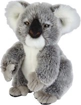 Pluche grijze koala knuffel 28 cm - Koala Australische buideldieren knuffels - Speelgoed voor kinderen