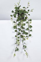 Kunsthanger Hoya kerii dubbel in pot