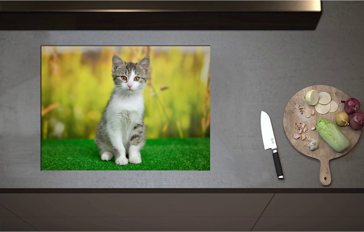 Inductieplaat Beschermer - Braaf Zittende Bruine Kat op Kunstgras - 70x52 cm - 2 mm Dik - Inductie Beschermer - Bescherming Inductiekookplaat - Kookplaat Beschermer van Zwart Vinyl