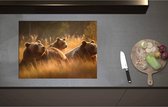 Inductieplaat Beschermer - Bruine beren in bruin gekleurd hoog gras - 70x52 cm - 2 mm Dik - Inductie Beschermer - Bescherming Inductiekookplaat - Kookplaat Beschermer van Zwart Vinyl