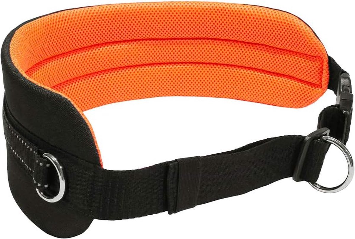 Canicross Buikriem voor Honden - Dogtrekking Riem Zwart/Neon Oranje met Reflecterende Details