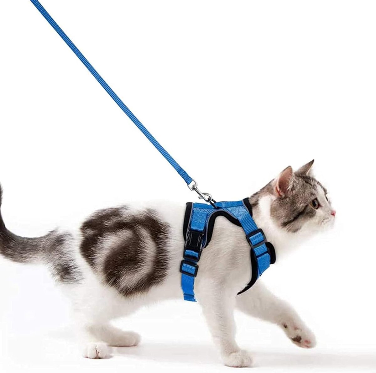 Kattentuig met riem, ontsnappingsbestendig, kattenriem, set, verstelbaar, zacht kattenvest met reflecterende strepen, borstharnas voor kleine kitten (blauw, S)