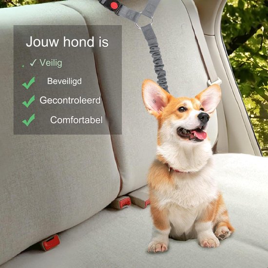 Honden hoofdsteun autogordel - Verstelbare elastische autogordel voor huisdieren - 75CM - Autoharnas voor honden en katten - Sterke nylon bungee buffer - Autogordels voor honden - Veiligheidsriem voor huisdieren - Grijs