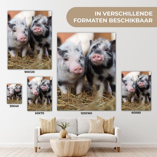 Canvas schilderij 60x80 cm - Wanddecoratie Varken - Dieren - Varkentje - Muurdecoratie woonkamer - Slaapkamer decoratie - Kamer accessoires - Schilderijen