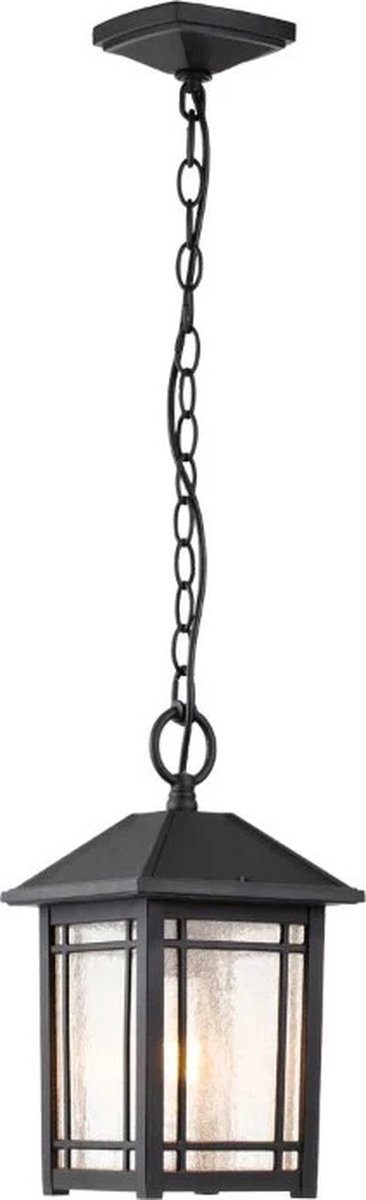 Quoizel LED Buiten Hanglamp Cedar Point | 1X E27 Max 60W | IP44 | Dimbaar | Black
