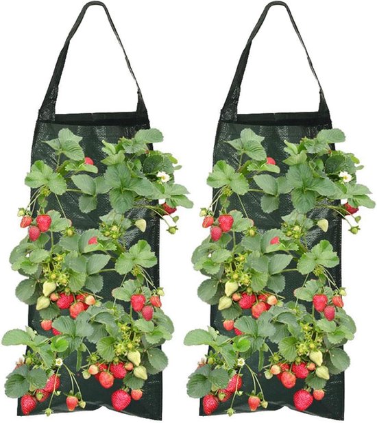 Foto: Prosperplast tomatenpot voor het kweken van tomaten 28 liter antraciet