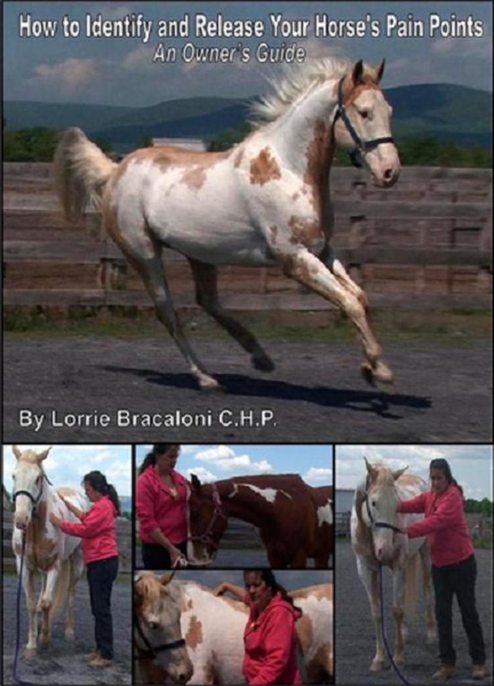 How to Identify and Release Your Horse's Pain Points: An Own ... - cover