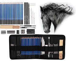 Professionele Schets Potloden Set 32-Delig - Teken Potloden - Accessoires – Tekenen met Houtskool & Grafiet - Etui - Teken Set - Potloden - Potlood