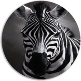Zebra rond schilderij - Dier muurcirkel - Rond schilderij Oog - Wanddecoratie modern - Schilderij dibond - Muurkunst muurcirkel aluminium 70x70 cm