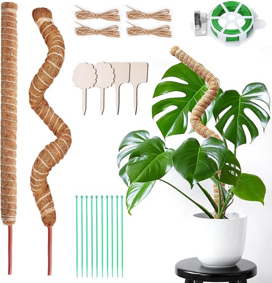 Foto: Buigzame mosstaaf voor monstera planten natuurlijke klimhulp set van 2