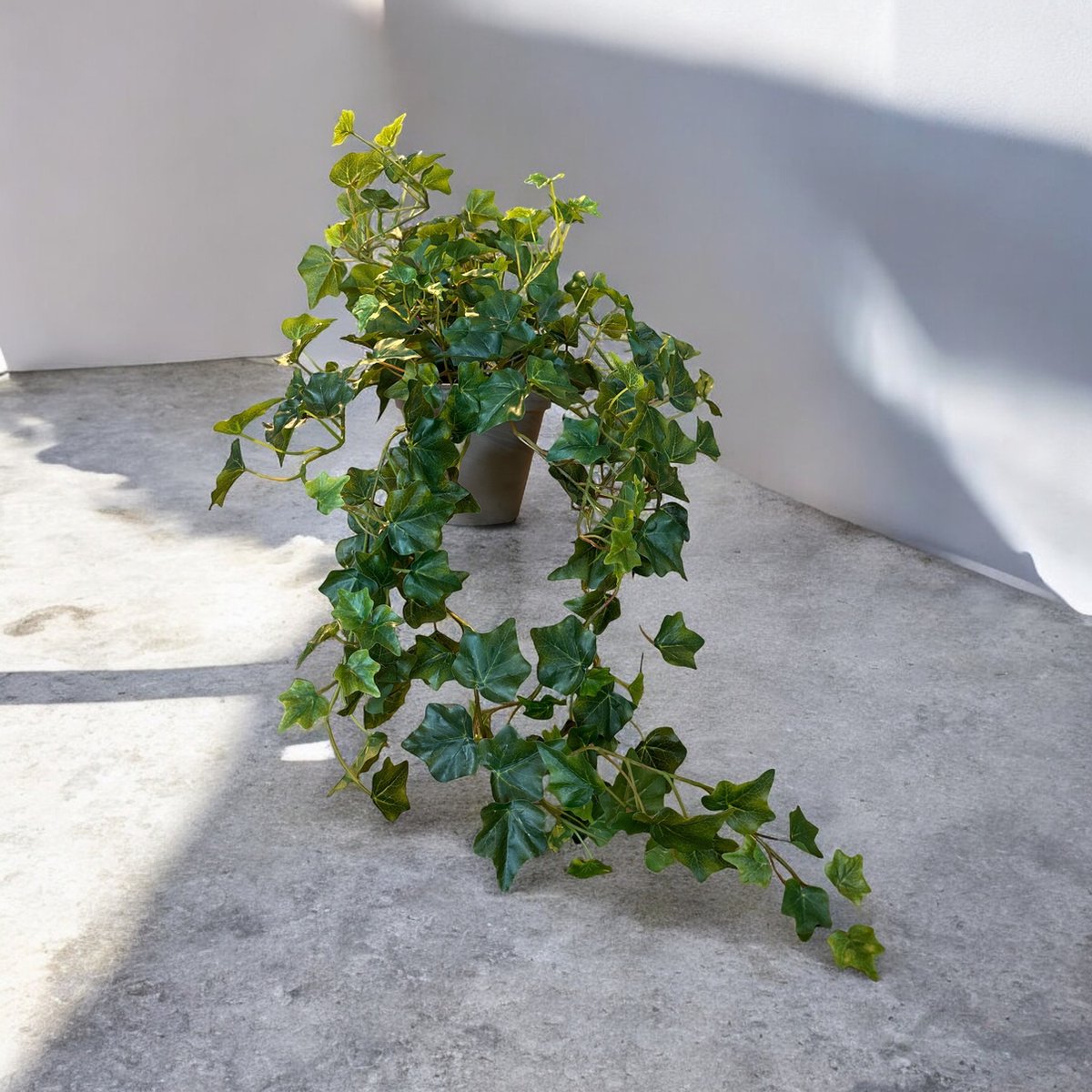 Seta Fiori - Hedera Plant - hangplant - kunstplant - Ivy - 80cm