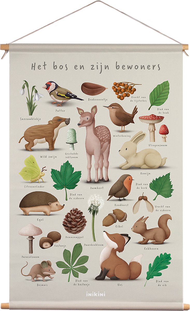 Textielposter - Dieren - Het bos en zijn bewoners - 40 x 70 cm - Kinderkamer - Babykamer - Nederlands - Wanddecoratie - Poster - Kraamcadeau - Schoolplaat - inikini