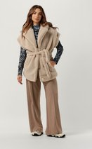 Catwalk Junkie Tr Layla Broeken Dames - Camel - Maat XS