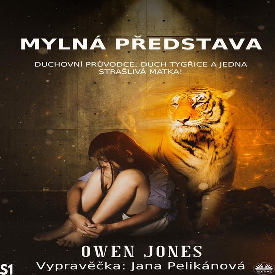 Mylná představa - cover