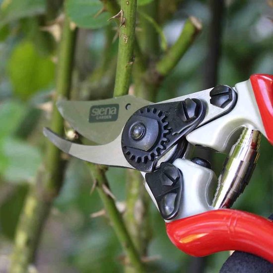 Premium Tuinschaar - Rozenbypassschaar 691526 van Kinzo — afbeelding 5