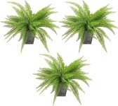 3x Kunstplanten varen 33 cm groen in pot - Kamerplanten groene varen in pot 3 stuks