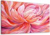 Roze, oranje, wit, rood, paars