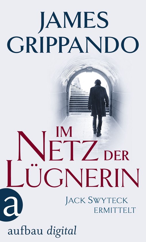 Anwalt Jack Swyteck ermittelt 4 - Im Netz der Lügnerin - cover