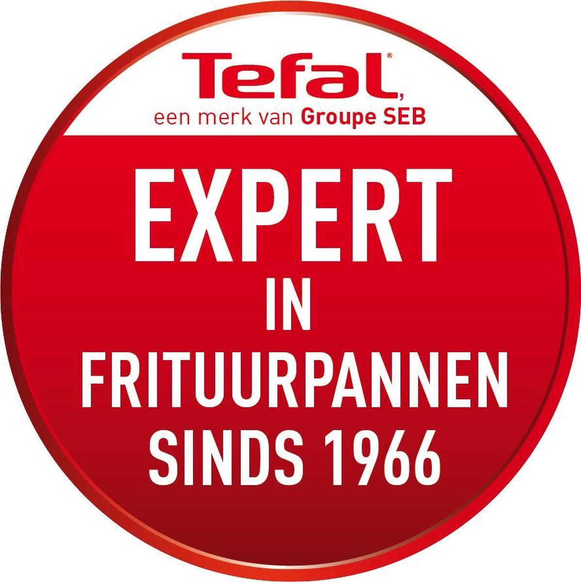 Tefal Filtra Pro Friteuse FR5160 - Frituurpan - 4 liter - 2400 Watt |  bol.com