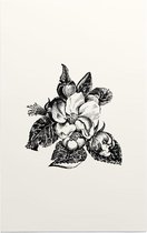 Bosrank zwart-wit (apple bossom) - Foto op Forex - 40 x 60 cm
