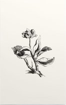 Eiloof zwart-wit (Ivy Berries) - Foto op Forex - 100 x 150 cm