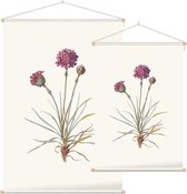 Engels Gras (Sea Thrift) - Foto op Textielposter - 60 x 90 cm