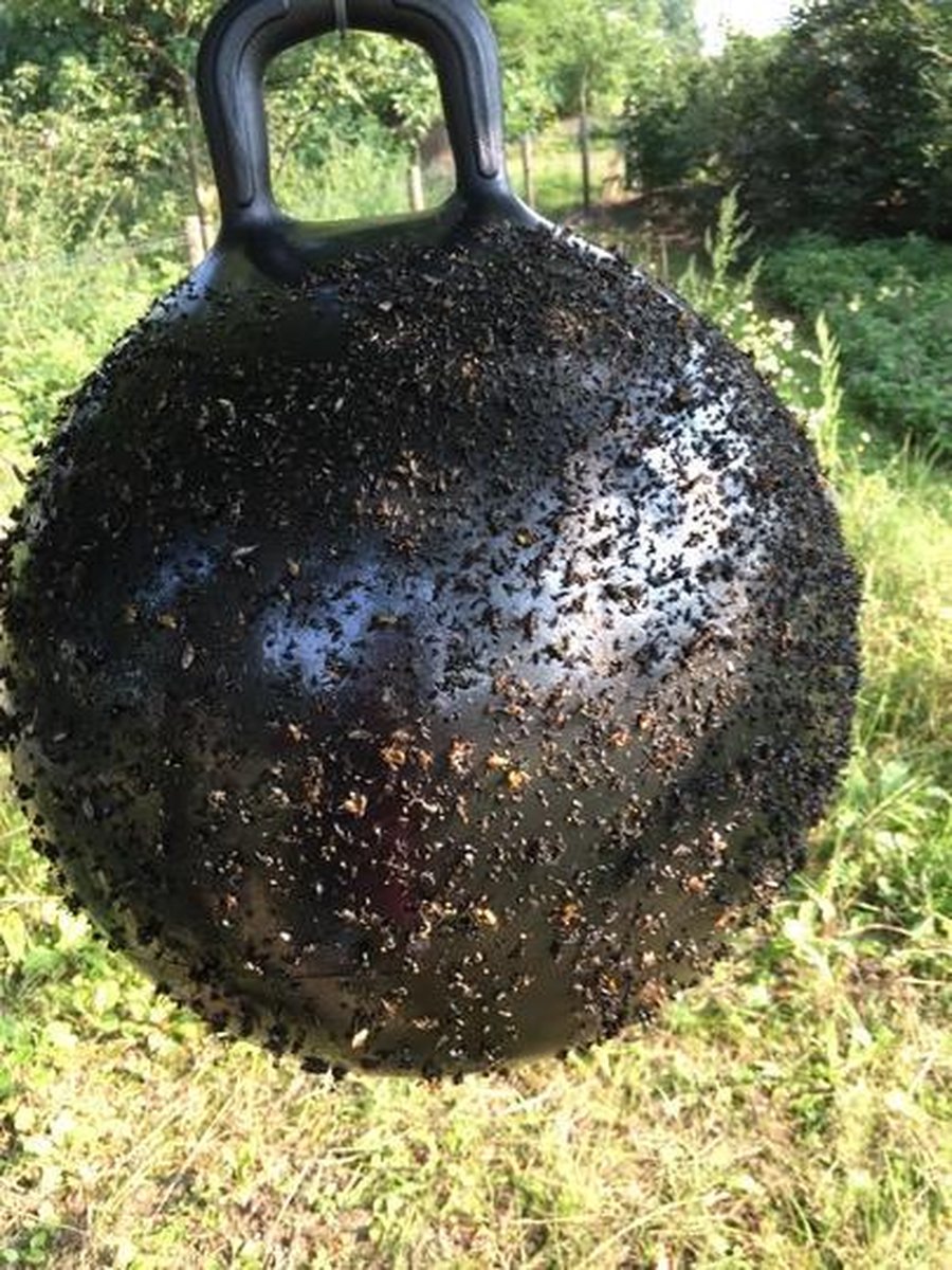 RelaxPets - Horse Fly Trap - Ball - Vliegenlijm Bal -  Vliegen Vangen - Dazenval - 45 CM