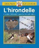 Gros plan sur la nature 36. l'hirondelle