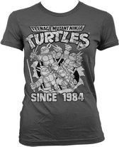 Teenage Mutant Ninja Turtles Dames Tshirt -S- Distressed Since 1984 Grijs