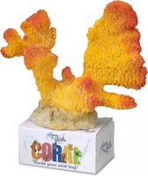 Auqa Della Coral module cauliflower coral Geel/oranje L - 16x15x8,3CM