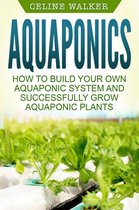 Aquaponics: How to Successfully Grow Aquaponic Plants
