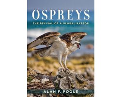 Ospreys