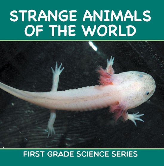 Animal Encyclopedia For Kids - Strange Animals Of The World  ... - cover