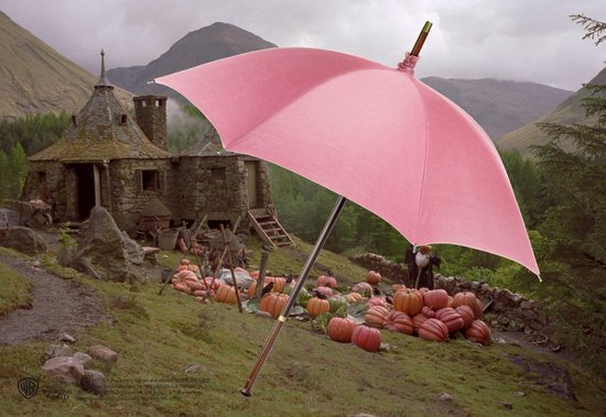 Noble Collection Harry Potter - Rubeus Hagrid Umbrella / Paraplu Replica |  bol