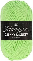 Scheepjes Chunky Monkey 100g - 1316 Pistachio - Groen