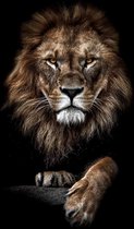 Leeuw op Geborsteld Aluminium - WallCatcher | Staand 70 x 105 cm | Lion King