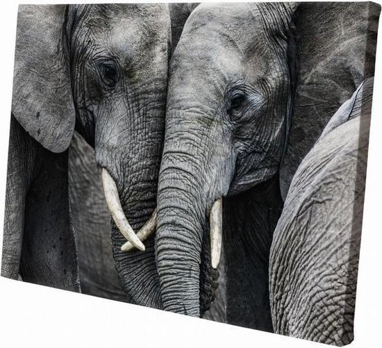 Éléphant | 150 x 100 cm | Décoration murale | Animaux sur toile | Peinture | Tissu en toile | Peinture sur toile