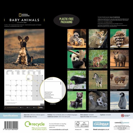 Baby Animals National Geographic Kalender 2021 bol