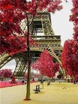 Diamond Painting Eiffeltoren Achter de Bomen - 50 x 70 cm - Maak je Eigen Schilderij Voor aan de Muur