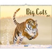 Big Cats Kalender 2021 (formaat 55x46)